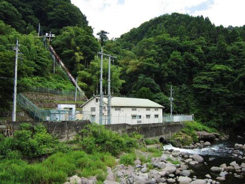 Foto van Acer 'Karasu Gawa'