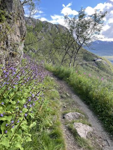 Foto van Bergsla