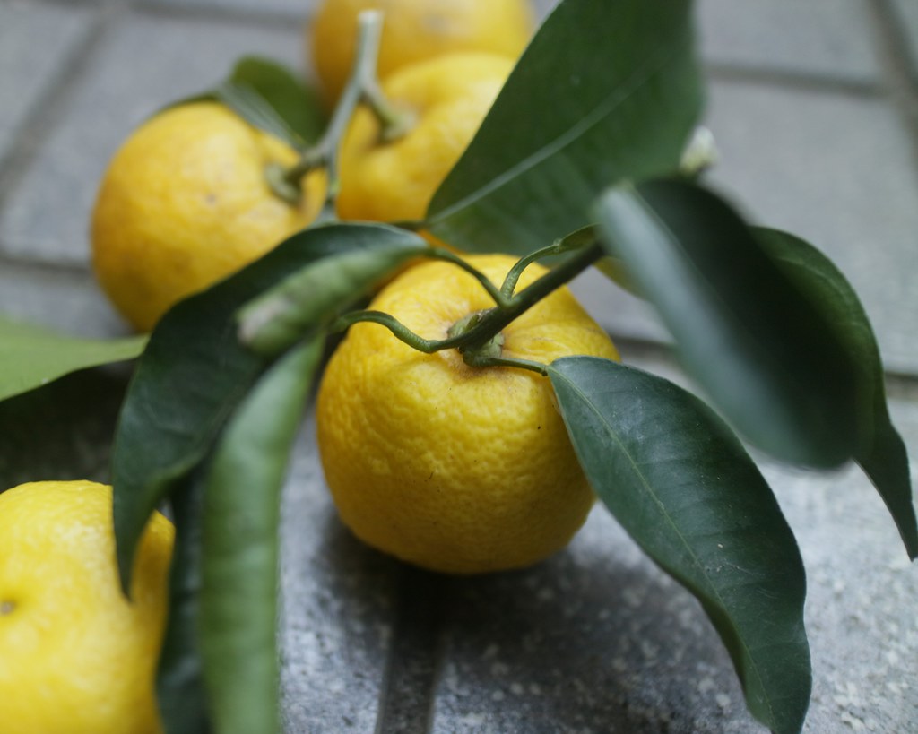 Foto van Japanse citrusvrucht