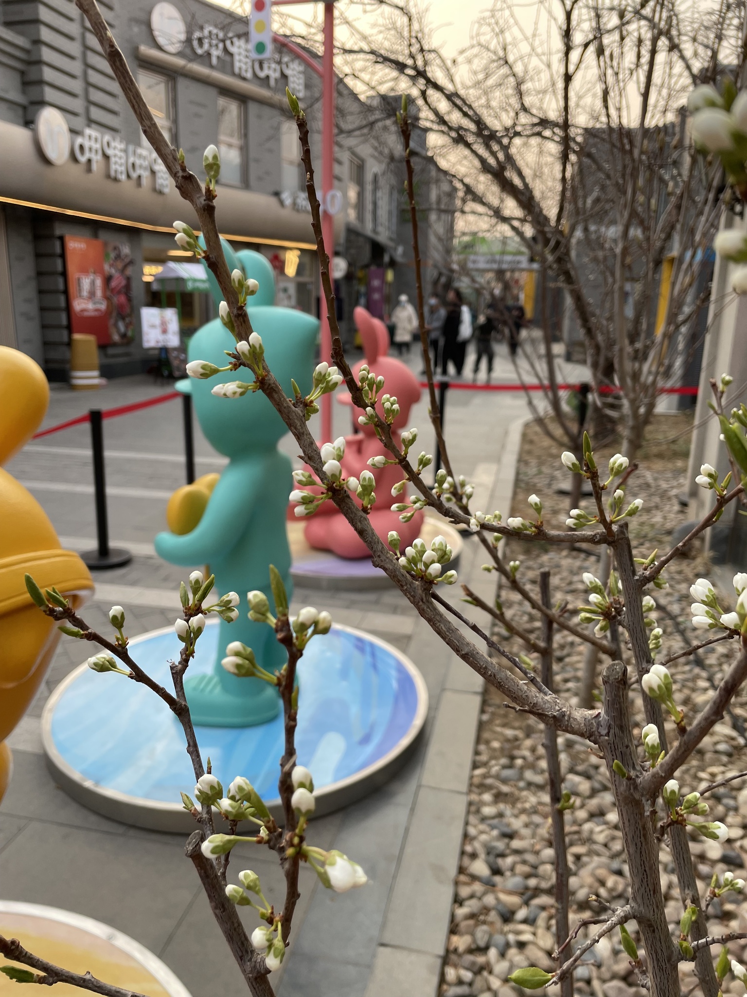 Foto van Japanse pruim
