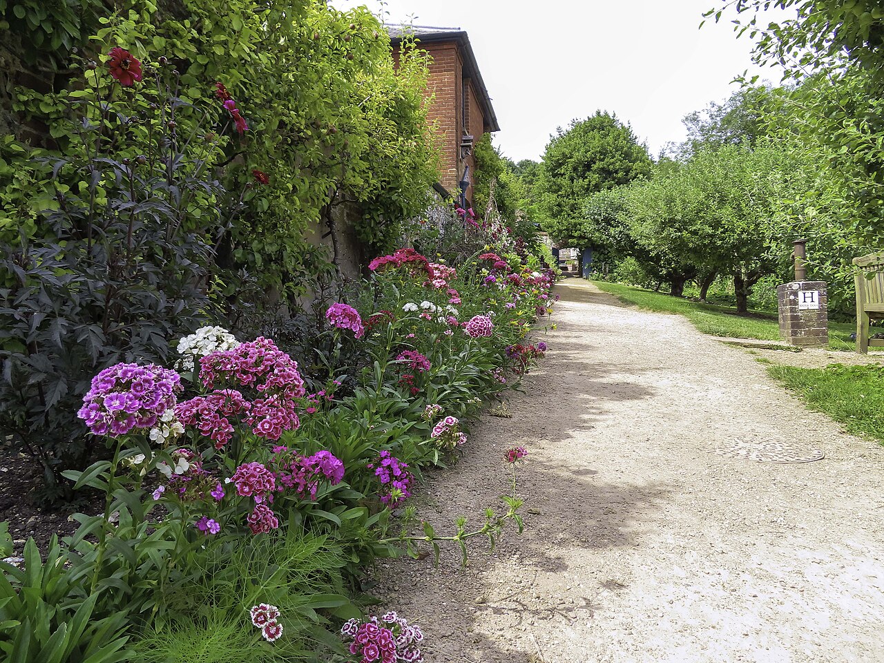 Een bloemenborder langs een tuinpad, met vaste planten die ruimte krijgen om te groeien.